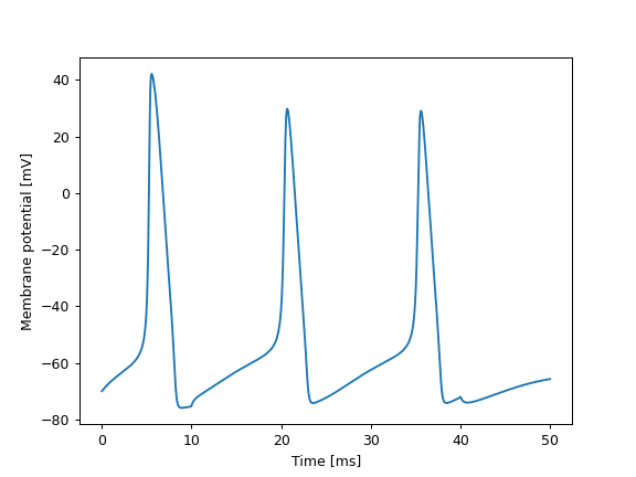 ../_images/neuromodels-models-HodgkinHuxley-1.png